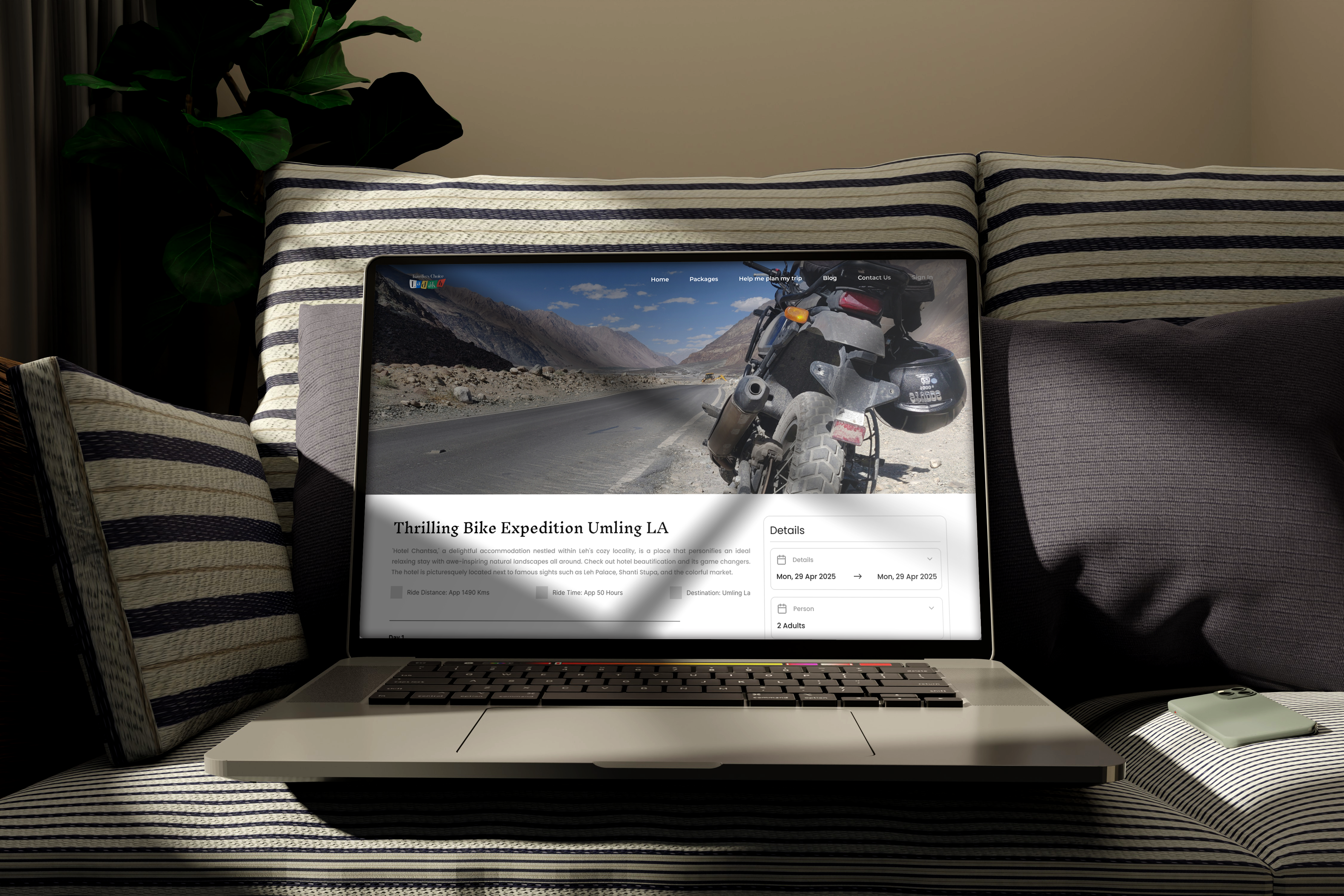 Person browsing MED on laptop